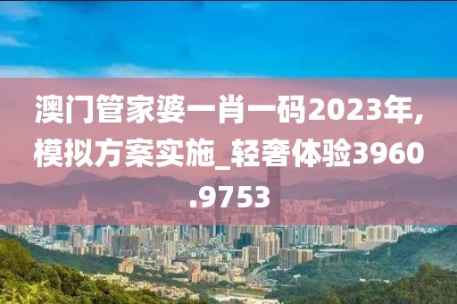 澳門管家婆一肖一碼2023年,模擬方案實施_輕奢體驗3960.9753