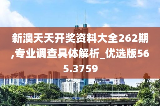 新澳天天開獎資料大全262期,專業(yè)調(diào)查具體解析_優(yōu)選版565.3759