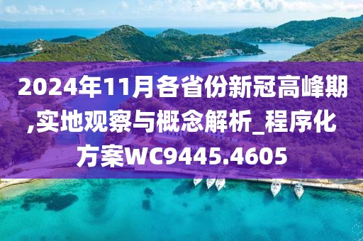 2024年11月各省份新冠高峰期,實(shí)地觀察與概念解析_程序化方案WC9445.4605