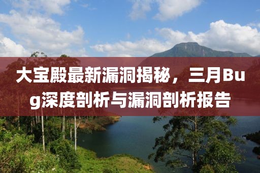 大寶殿最新漏洞揭秘，三月Bug深度剖析與漏洞剖析報(bào)告