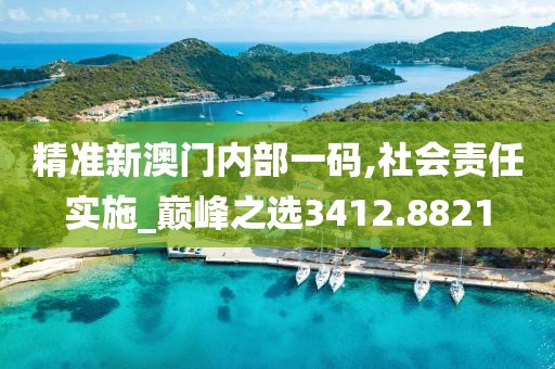 精準新澳門內部一碼,社會責任實施_巔峰之選3412.8821