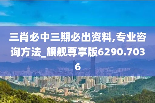 三肖必中三期必出資料,專業(yè)咨詢方法_旗艦尊享版6290.7036