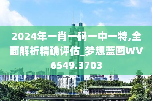 2024年一肖一碼一中一特,全面解析精確評(píng)估_夢(mèng)想藍(lán)圖WV6549.3703