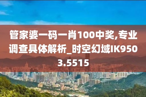 管家婆一碼一肖100中獎(jiǎng),專業(yè)調(diào)查具體解析_時(shí)空幻域IK9503.5515