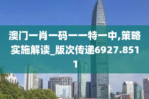 澳門(mén)一肖一碼一一特一中,策略實(shí)施解讀_版次傳遞6927.8511