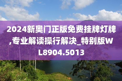 2024新奧門正版免費(fèi)掛牌燈牌,專業(yè)解讀操行解決_特別版WL8904.5013