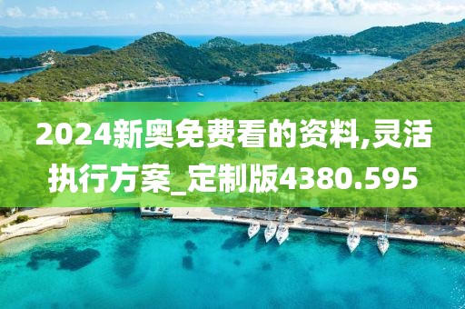 2024新奧免費看的資料,靈活執(zhí)行方案_定制版4380.595