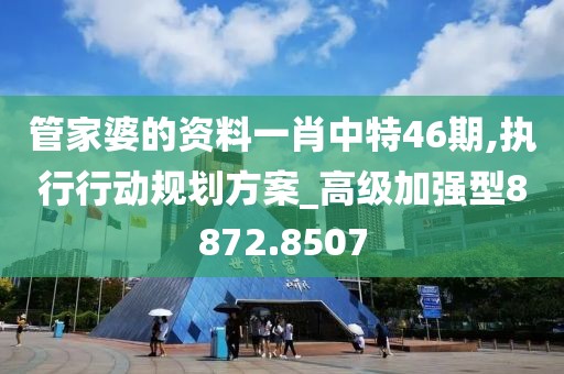 管家婆的資料一肖中特46期,執(zhí)行行動規(guī)劃方案_高級加強型8872.8507