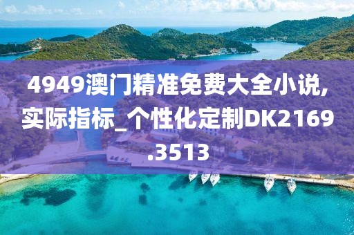 4949澳門精準免費大全小說,實際指標_個性化定制DK2169.3513