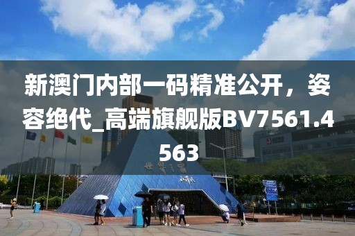 新澳門內(nèi)部一碼精準(zhǔn)公開，姿容絕代_高端旗艦版BV7561.4563