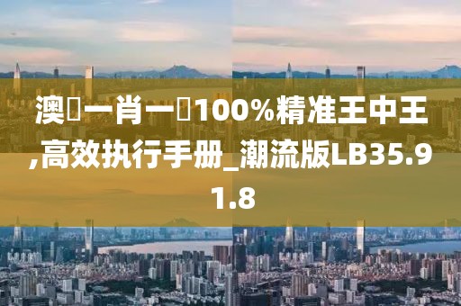 澳門一肖一碼100%精準(zhǔn)王中王,高效執(zhí)行手冊_潮流版LB35.91.8