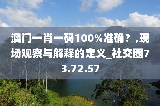 澳門一肖一碼100%準確？,現(xiàn)場觀察與解釋的定義_社交圈73.72.57