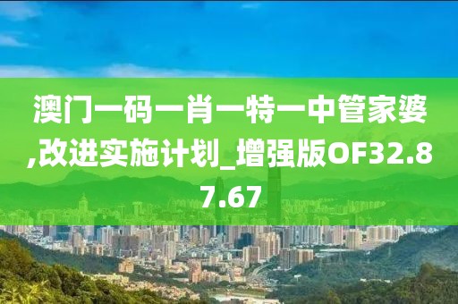 澳門一碼一肖一特一中管家婆,改進實施計劃_增強版OF32.87.67