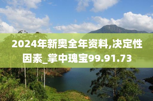 2024年新奧全年資料,決定性因素_掌中瑰寶99.91.73