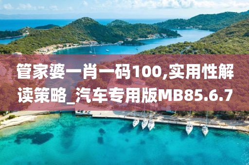 管家婆一肖一碼100,實用性解讀策略_汽車專用版MB85.6.7