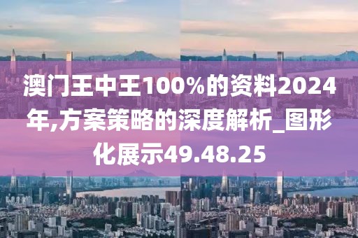 澳門王中王100%的資料2024年,方案策略的深度解析_圖形化展示49.48.25