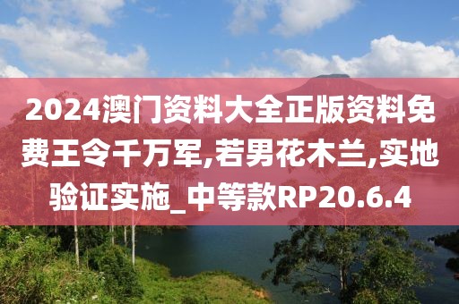 2024澳門(mén)資料大全正版資料免費(fèi)王令千萬(wàn)軍,若男花木蘭,實(shí)地驗(yàn)證實(shí)施_中等款RP20.6.4