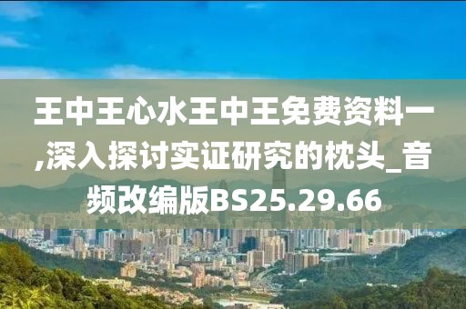 王中王心水王中王免費(fèi)資料一,深入探討實(shí)證研究的枕頭_音頻改編版BS25.29.66