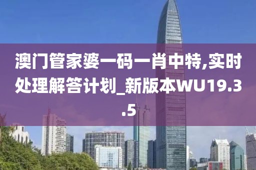 澳門管家婆一碼一肖中特,實時處理解答計劃_新版本W(wǎng)U19.3.5