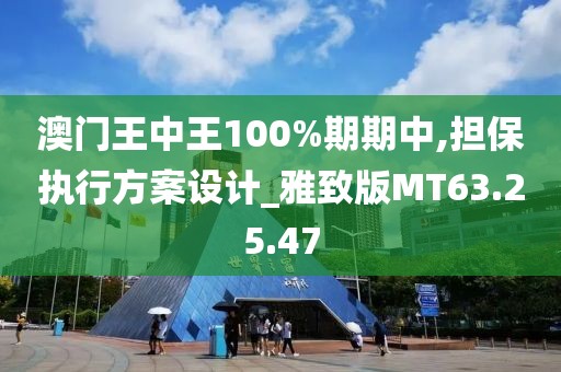 澳門王中王100%期期中,擔保執(zhí)行方案設計_雅致版MT63.25.47