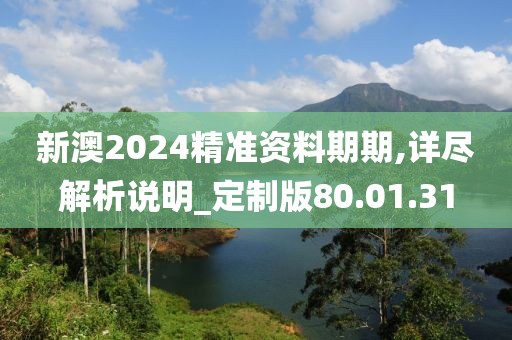 新澳2024精準(zhǔn)資料期期,詳盡解析說(shuō)明_定制版80.01.31