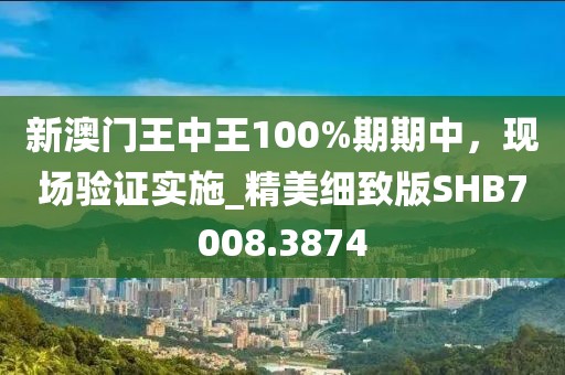 新澳門王中王100%期期中，現(xiàn)場驗證實施_精美細(xì)致版SHB7008.3874