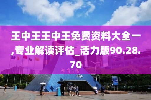 王中王王中王免費(fèi)資料大全一,專業(yè)解讀評(píng)估_活力版90.28.70