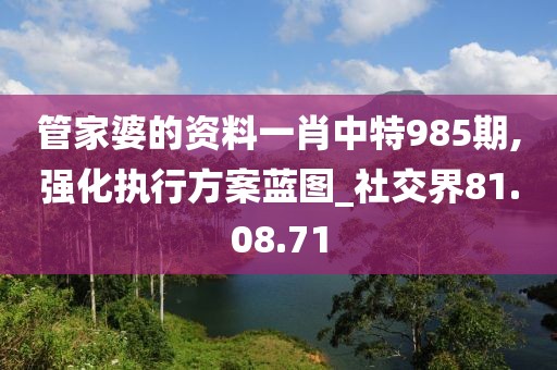 管家婆的資料一肖中特985期,強(qiáng)化執(zhí)行方案藍(lán)圖_社交界81.08.71