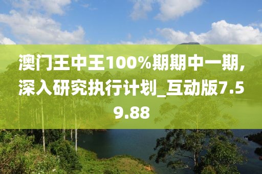 澳門王中王100%期期中一期,深入研究執(zhí)行計劃_互動版7.59.88