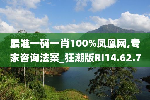 最準(zhǔn)一碼一肖100%鳳凰網(wǎng),專家咨詢法案_狂潮版RI14.62.70