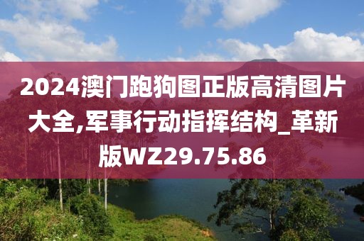 2024澳門(mén)跑狗圖正版高清圖片大全,軍事行動(dòng)指揮結(jié)構(gòu)_革新版WZ29.75.86