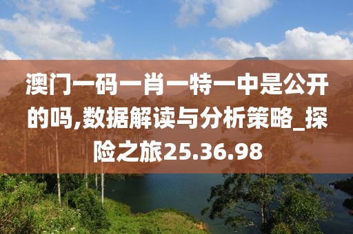 澳門一碼一肖一特一中是公開的嗎,數(shù)據(jù)解讀與分析策略_探險之旅25.36.98