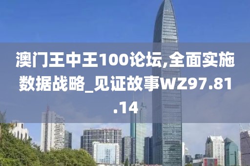 澳門王中王100論壇,全面實施數據戰(zhàn)略_見證故事WZ97.81.14