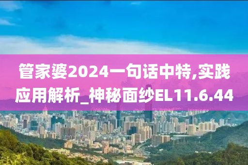 管家婆2024一句話中特,實踐應(yīng)用解析_神秘面紗EL11.6.44