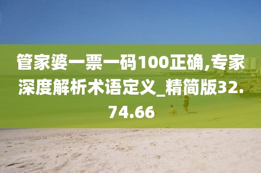 管家婆一票一碼100正確,專家深度解析術(shù)語定義_精簡版32.74.66