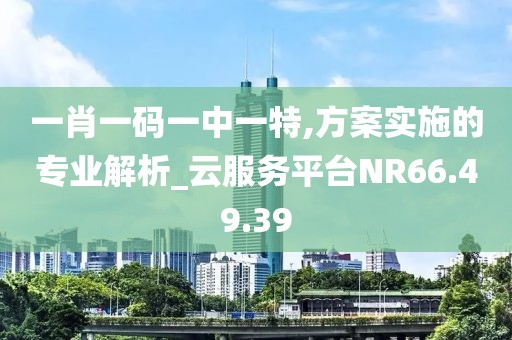 一肖一碼一中一特,方案實施的專業(yè)解析_云服務(wù)平臺NR66.49.39