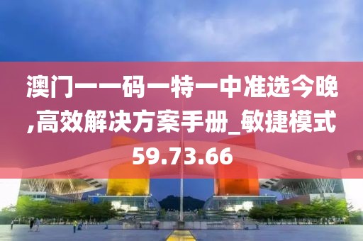 澳門一一碼一特一中準(zhǔn)選今晚,高效解決方案手冊(cè)_敏捷模式59.73.66