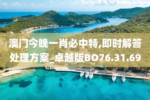 澳門今晚一肖必中特,即時解答處理方案_卓越版BO76.31.69