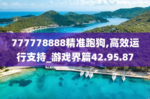 777778888精準(zhǔn)跑狗,高效運(yùn)行支持_游戲界篇42.95.87