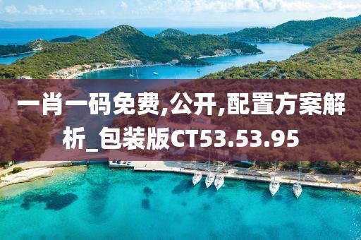 一肖一碼免費(fèi),公開,配置方案解析_包裝版CT53.53.95