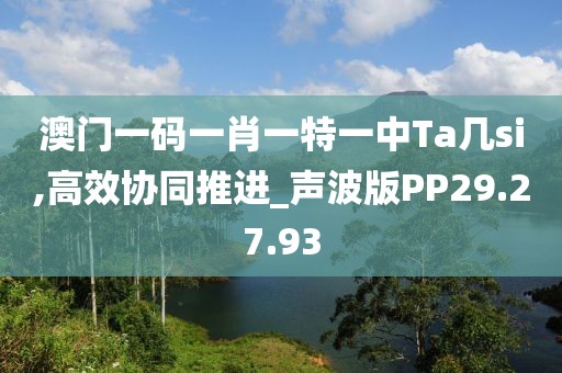 澳門一碼一肖一特一中Ta幾si,高效協(xié)同推進(jìn)_聲波版PP29.27.93