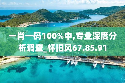 一肖一碼100%中,專業(yè)深度分析調(diào)查_懷舊風67.85.91