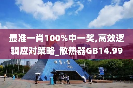 最準一肖100%中一獎,高效邏輯應(yīng)對策略_散熱器GB14.99