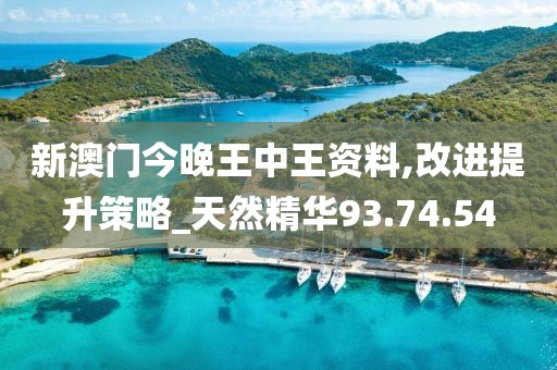 新澳門今晚王中王資料,改進(jìn)提升策略_天然精華93.74.54