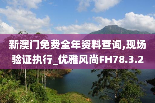 新澳門免費(fèi)全年資料查詢,現(xiàn)場驗(yàn)證執(zhí)行_優(yōu)雅風(fēng)尚FH78.3.2