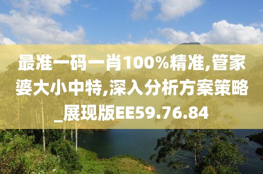 最準(zhǔn)一碼一肖100%精準(zhǔn),管家婆大小中特,深入分析方案策略_展現(xiàn)版EE59.76.84