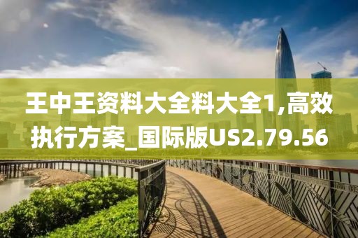 王中王資料大全料大全1,高效執(zhí)行方案_國際版US2.79.56