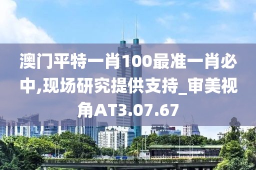 澳門平特一肖100最準(zhǔn)一肖必中,現(xiàn)場研究提供支持_審美視角AT3.07.67