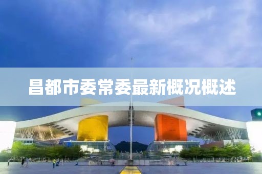 昌都市委常委最新概況概述