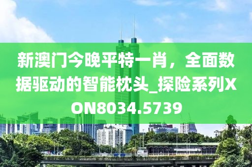 新澳門今晚平特一肖，全面數(shù)據(jù)驅(qū)動(dòng)的智能枕頭_探險(xiǎn)系列XON8034.5739